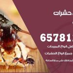 شركات مكافحة حشرات الشامية / 50050641 / افضل شركة مكافحة حشرات وقوارض