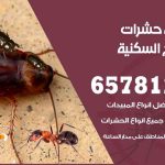 شركات مكافحة حشرات الشويخ السكنية / 50050641 / افضل شركة مكافحة حشرات وقوارض