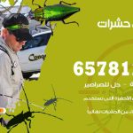 شركات مكافحة حشرات الظهر / 50050641 / افضل شركة مكافحة حشرات وقوارض