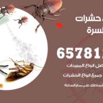 شركات مكافحة حشرات جنوب السرة / 50050641 / افضل شركة مكافحة حشرات وقوارض