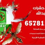 شركات مكافحة حشرات سعد العبدالله / 50050641 / افضل شركة مكافحة حشرات وقوارض