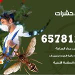 شركات مكافحة حشرات غرناطة / 50050641 / افضل شركة مكافحة حشرات وقوارض