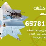 شركات مكافحة حشرات فهد الأحمد / 50050641 / افضل شركة مكافحة حشرات وقوارض