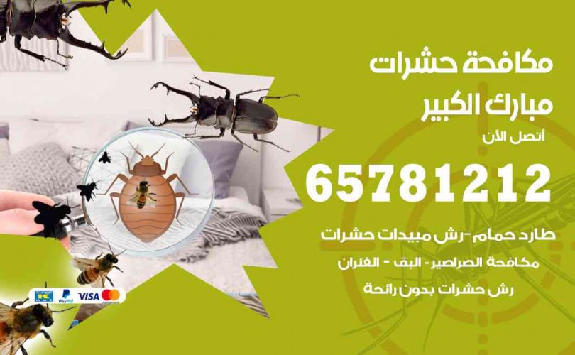 شركات مكافحة حشرات مبارك الكبير