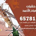 شركات مكافحة حشرات مدينة صباح الأحمد / 50050641 / افضل شركة مكافحة حشرات وقوارض