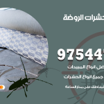 مكافحة حشرات وقوارض الروضة / 50050647 / شركة رش حشرات خصم 50%