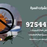 مكافحة حشرات وقوارض السرة / 50050647 / شركة رش حشرات خصم 50%