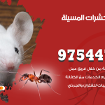 مكافحة حشرات وقوارض المسيلة / 50050647 / شركة رش حشرات خصم 50%