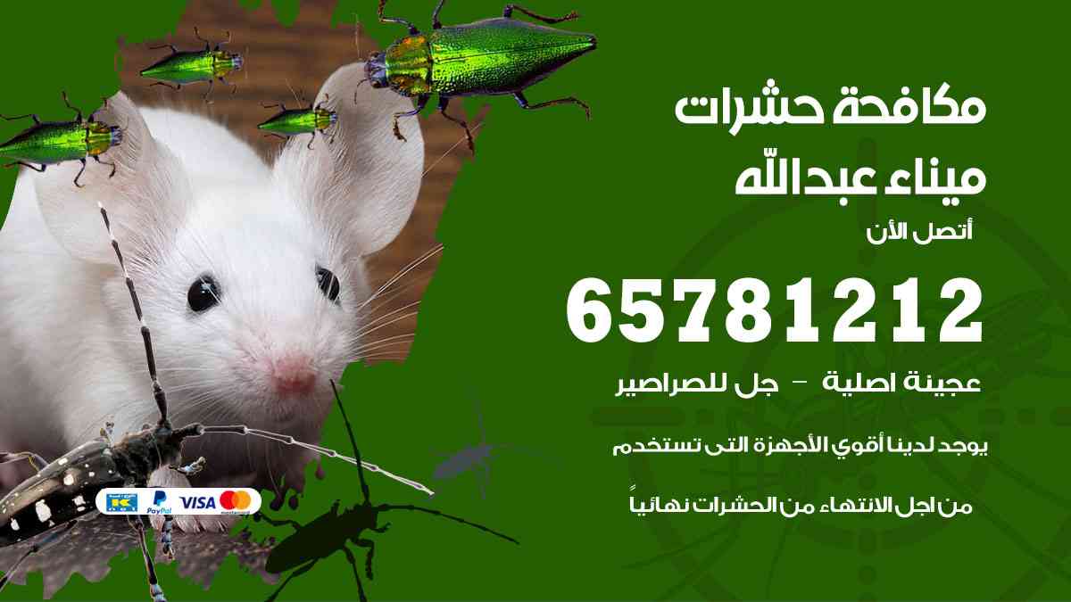 شركات مكافحة حشرات ميناء عبدالله